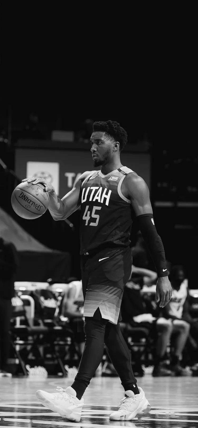 一直是公众 一直是公众