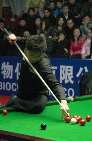 欧冠赛场的 欧冠赛场的