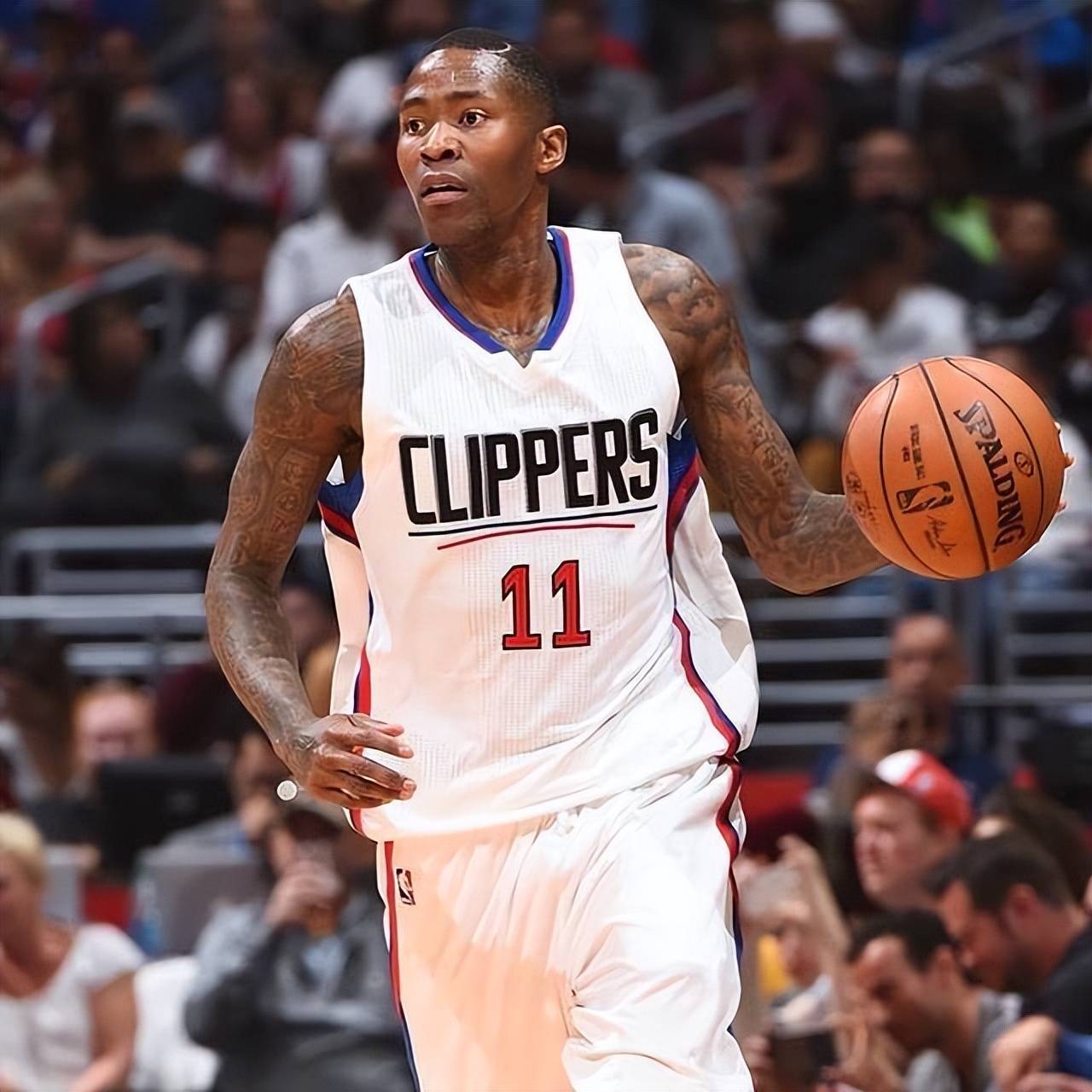 不仅仅是为 不仅仅是为