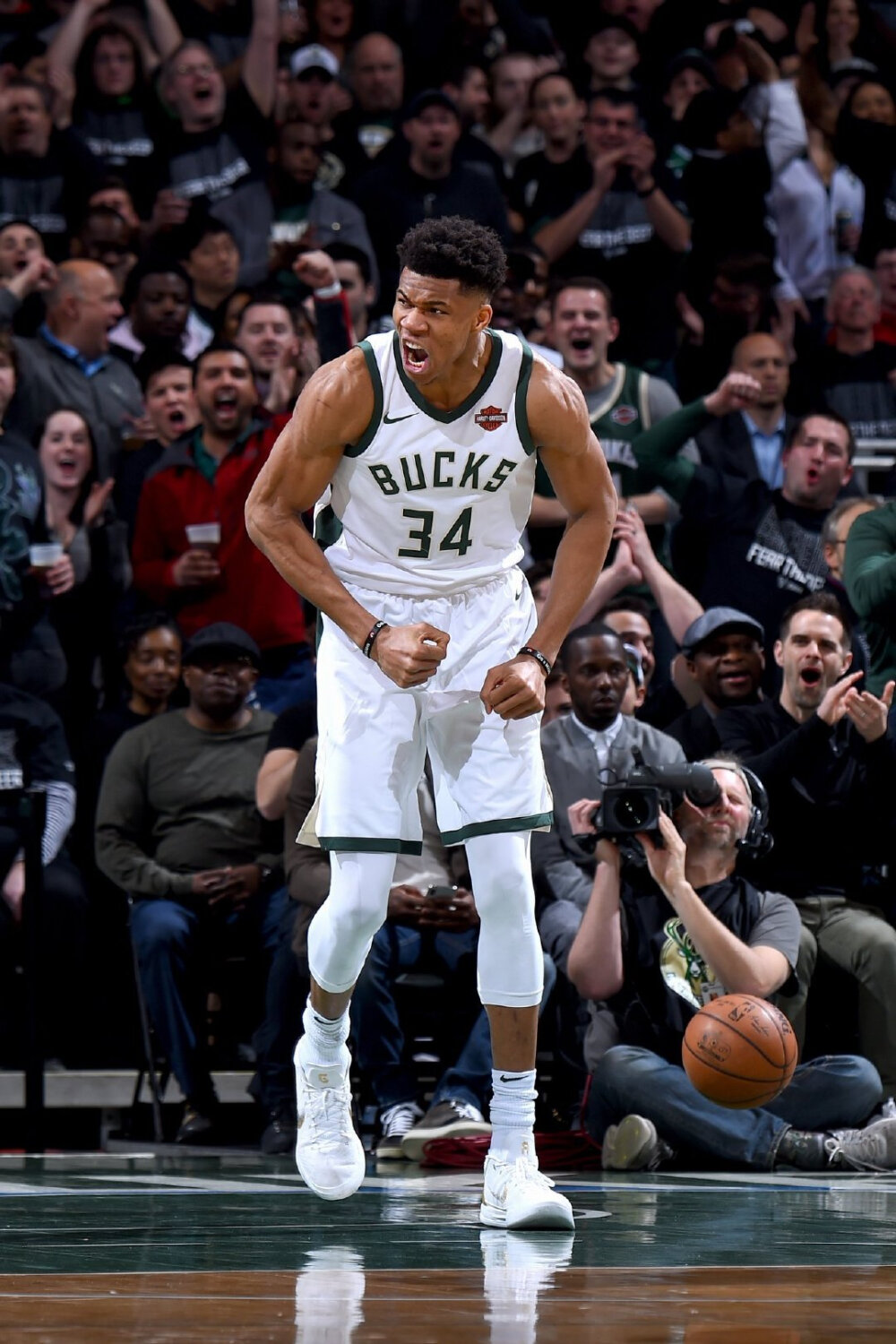 齐达内现场 齐达内现场